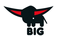 BIG